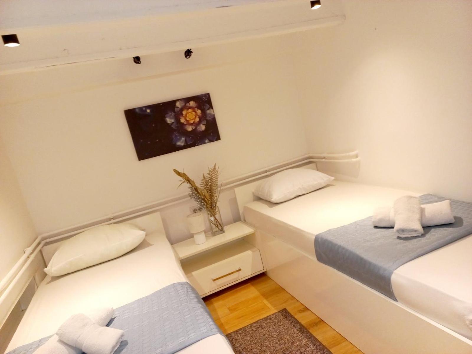 Alex 3 Apartment เบลเกรด ภายนอก รูปภาพ